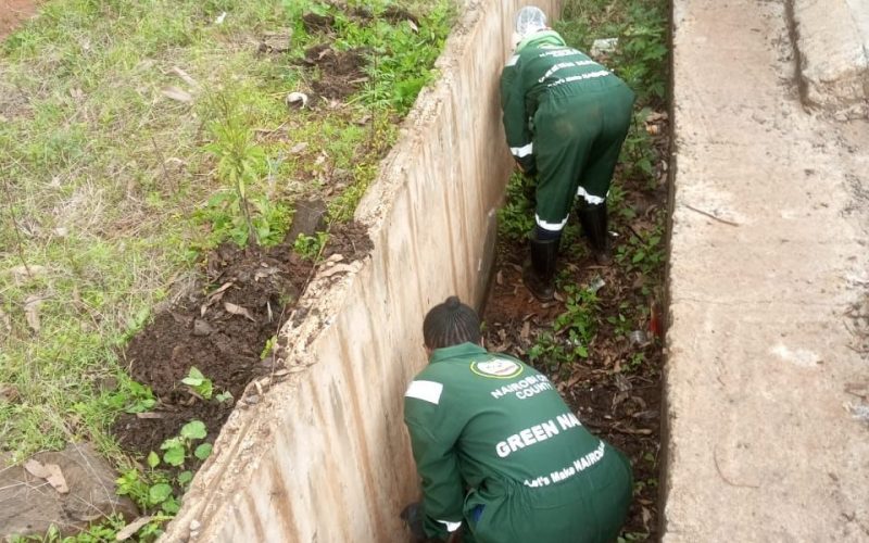 The Green Army at work. PHOTO/Nairobi County Government